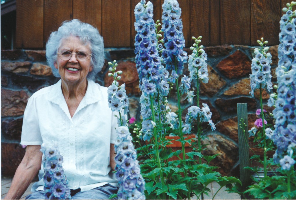 Grandma's Delphiniums